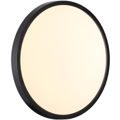 Настенно-потолочный светильник Alfa Black 7660/24L