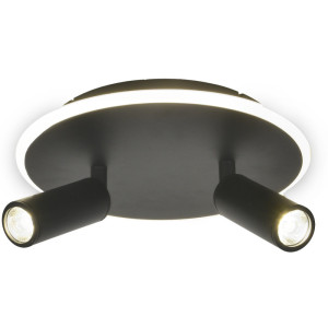 Настенно-потолочный светильник 20046LED 20046SMA/02LED BK