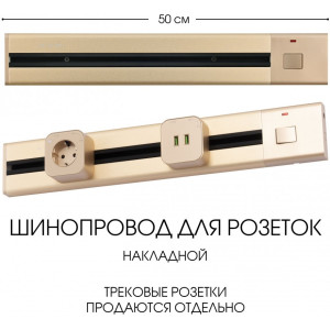 Электроустановочный шинопровод Am-track-sockets 385205TOB/50 Gold
