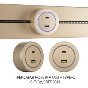 Трековая розетка Am-track-sockets-39 399731TS/USB-Type-C Gold