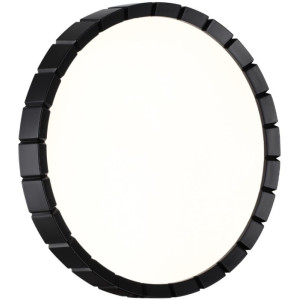Настенно-потолочный светильник Atabi Black 7649/CL